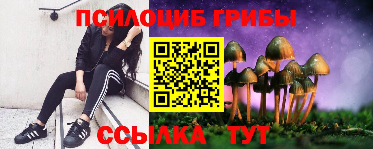 Псилоцибиновые грибы Cubensis  Вход с VPN  Урай 